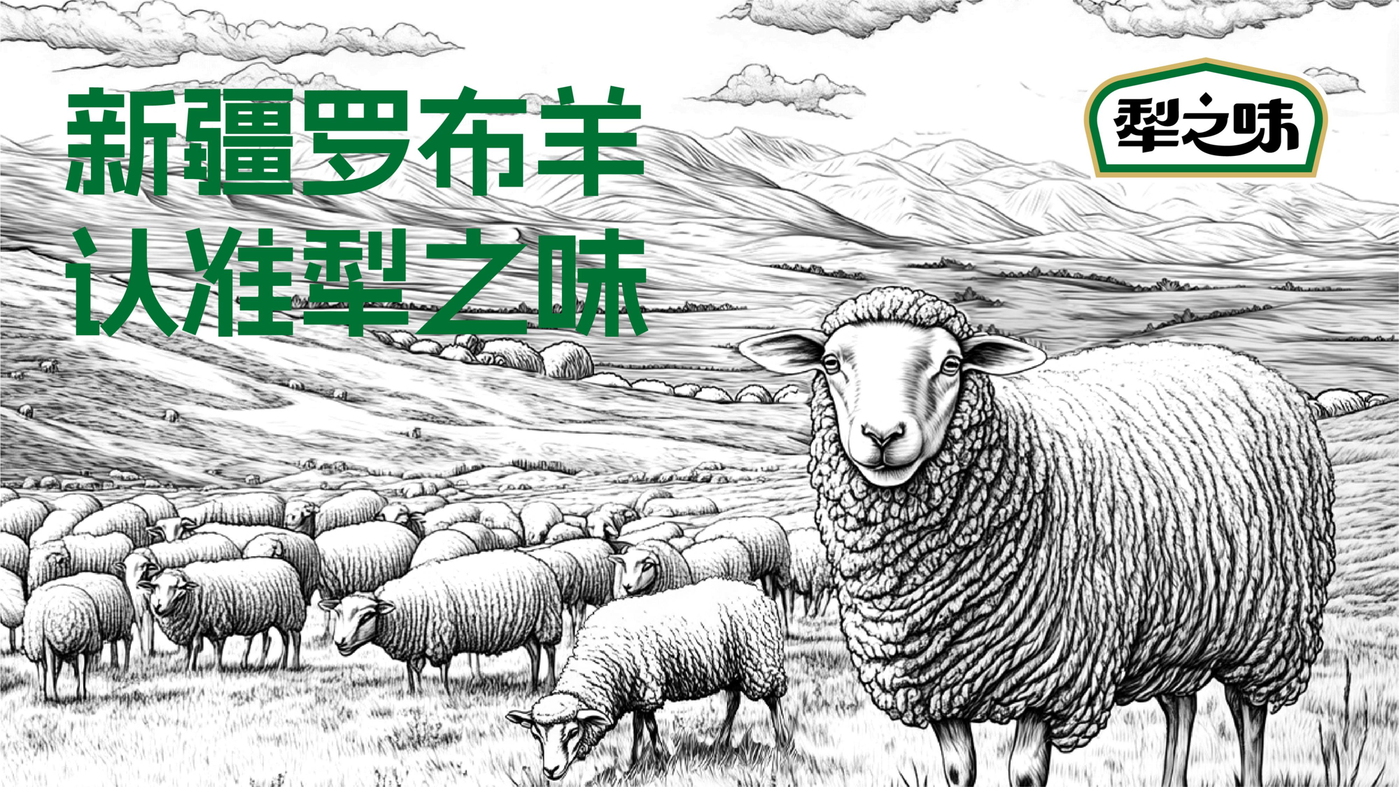 图片20.png